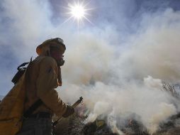 El gobierno de Javier Milei califico los responsables de los incendios en la Patagonia argentina como 