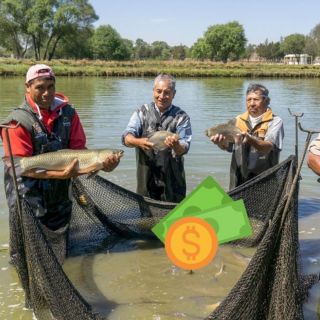 Bienpesca: En esta fecha inicia el depósito del apoyo de 7 mil 500 pesos