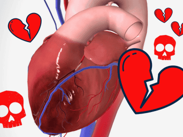 El amor y las emociones fuertes pueden tener un impacto real en la salud del corazón. Aunque el Síndrome del Corazón Roto es una condición temporal en la mayoría de los casos, es importante reconocer la conexión entre la salud emocional y física. CANVA