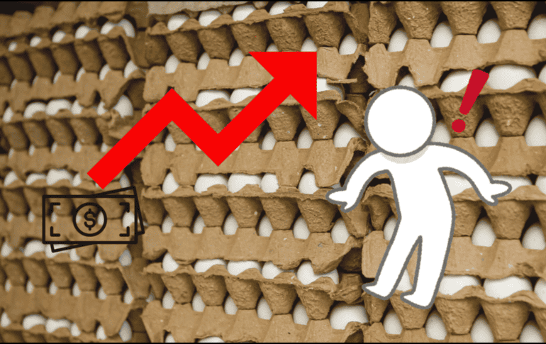 El Departamento de Agricultura informa que más de 23 millones de aves fueron sacrificadas el mes pasado y más de 18 millones fueron asesinadas en diciembre para limitar la propagación del virus de la gripe aviar. ESPECIAL / CANVA.