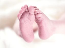 Fue en el Ministerio público de la alcaldía Cuauhtémoc a donde lo llevaron para que se hiciera responsable de su acto. Pixabay.