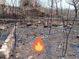 Durante este periodo, las altas temperaturas serán una constante, con la posibilidad de alcanzar los 40 grados, incluso superarlos. SUN / ESPECIAL