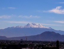 Los fuertes vientos que se esperan podrían tumbar árboles, además habrá bancos de niebla que reducirán la visibilidad. NTX / ARCHIVO