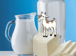 El queso de cabra es una fuente importante de calcio y proteínas. PEXELS / CANVA