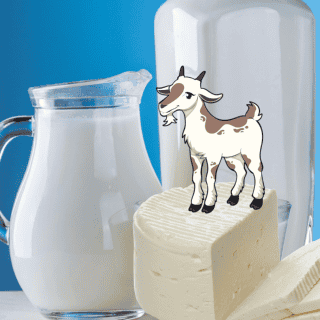 ¿Puedes comer queso de cabra si eres alérgico a la leche de vaca?