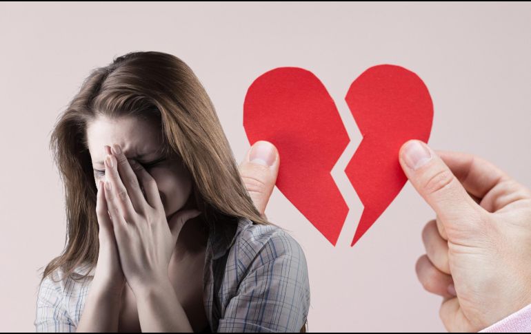 Refugios de animales y zoológicos en todo Estados Unidos están fomentando pequeñas vías catárticas de venganza en esta festividad de San Valentín. ESPECIAL / CANVA