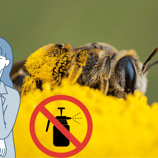 Estudio señala a plaguicidas como responsables de la crisis de biodiversidad