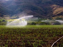 Según información de la Delegación Jalisco de la dependencia federal, hasta la fecha se han recibido 5 mil 980 solicitudes que ya fueron autorizadas por la CONAGUA y remitidas a la CFE. CORTESÍA.