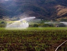 Según información de la Delegación Jalisco de la dependencia federal, hasta la fecha se han recibido 5 mil 980 solicitudes que ya fueron autorizadas por la CONAGUA y remitidas a la CFE. CORTESÍA.