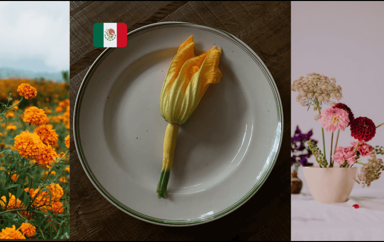 Los conocimientos acerca de los usos de la flora son herencia ancestral que aún permanecen con nosotros. Pexels y Canva