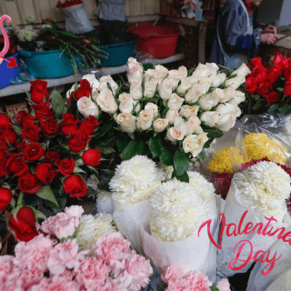 Las mejores flores para regalar, según expertos