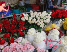 Regala flores este día de San Valentín. SUN / ARCHIVO