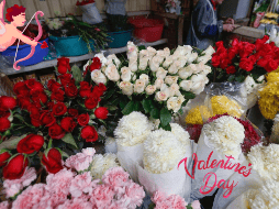 Regala flores este día de San Valentín. SUN / ARCHIVO