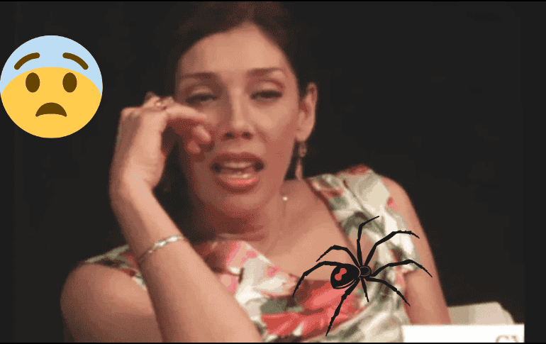 La actriz Cynthia Klitbo fue hospitalizada tras ser mordida por una araña viuda negra mientras se encontraba grabando en una locación en Guadalajara. EL INFORMADOR/ ARCHIVO/ CANVA