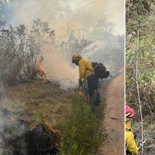 Avanza combate a incendio en Tapalpa