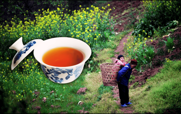 El té oolong, también llamado té azul, es una infusión de origen chino menos popular que el té verde o negro, pero con un perfil único y beneficios destacables para la salud. AP / ARCHIVO