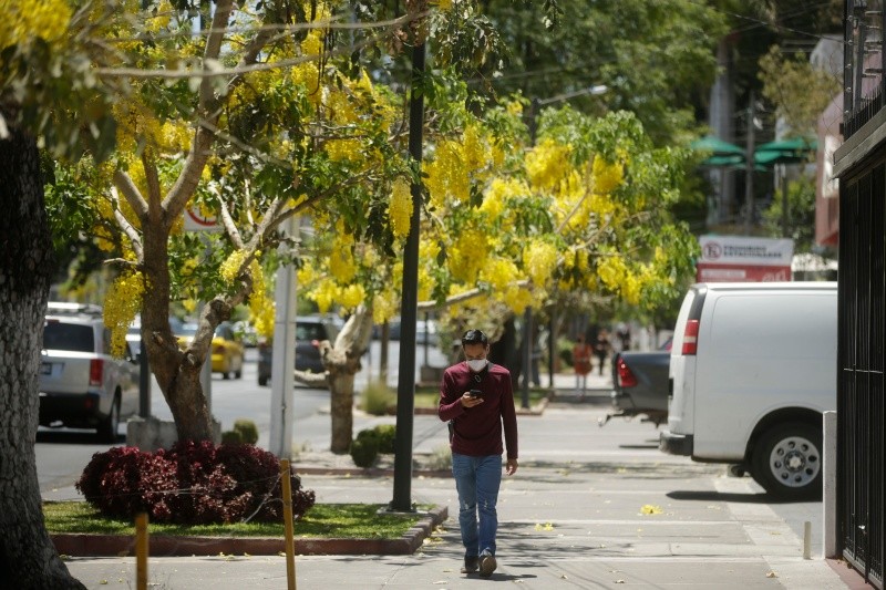 EL INFORMADOR / ARCHIVO