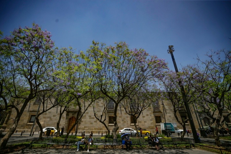 EL INFORMADOR / ARCHIVO