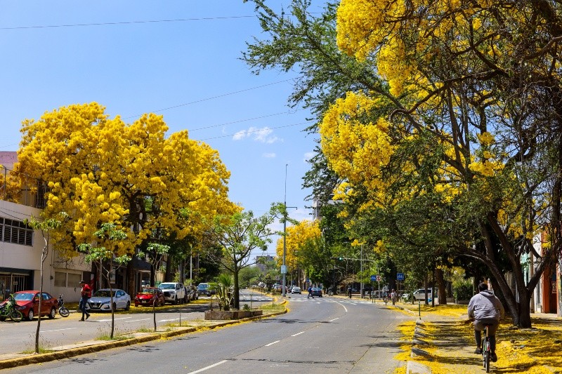 EL INFORMADOR / ARCHIVO 