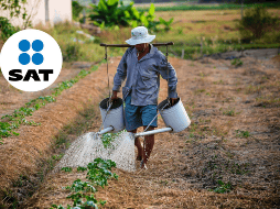 También informó que se seguirán llevando a cabo prácticas para mantener al corriente a las personas sobre sus obligaciones fiscales. CANVA/ ESPECIAL