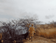 Hasta el momento, no se ha informado sobre las posibles causas que originaron el incendio. CORTESÍA.