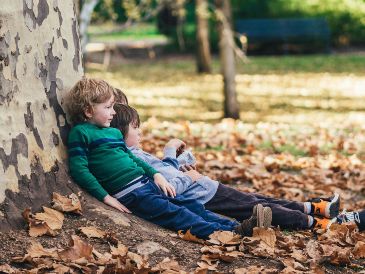 Los expertos han revelado que invertir tiempo acercándonos al bosque y todo lo relacionado con él puede brindar diversos beneficios a la salud mental infantil. UNSPLASH/ M. Wallis