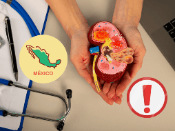 La enfermedad renal crónica (ERC) es una condición que se produce cuando los riñones se dañan y no funcionan correctamente. ESPECIAL