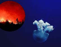 El río atmosférico y los aludes de tierra que azotaron la región de Los Ángeles la semana pasada agravaron algunos de esos temores. EFE / ARCHIVO / UNSPLASH  / E. McCart