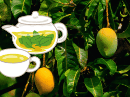 Originario de Asia, el mango llegó a México durante la Conquista y, gracias a su exquisito sabor, se convirtió en una de las frutas preferidas por muchos mexicanos. UNSPLASH/ R. Biswal