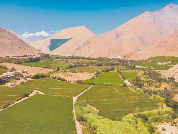 El paisaje se preservará por su valor cultural. ESPECIAL