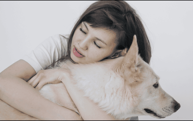 La compañía de un animal influye positivamente en la motivación y el desarrollo de habilidades sociales, especialmente en niños y adolescentes. UNSPLASH/ S. Sashina