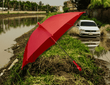 Un canal de baja presión y la entrada de humedad generada por la corriente en chorro subtropical generarán lluvias y chubascos. EL INFORMADOR / ARCHIVO
