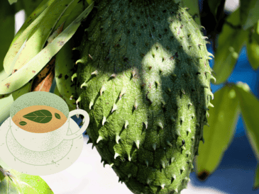 La guanábana, también conocida como graviola, es una fruta tropical de la familia de las Annonáceas. UNSPLASH/ A. Iramu