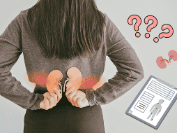 Es importante detectar a tiempo alguna falla o anomalía en los riñones para evitar que se agrave. ESPECIAL