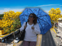 Guadalajara estará, por la tarde, parcialmente nuboso y con temperaturas en torno a los 28 °C. EL INFORMADOR / A. Navarro / SUN / ARCHIVO