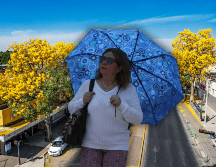 Guadalajara estará, por la tarde, parcialmente nuboso y con temperaturas en torno a los 28 °C. EL INFORMADOR / A. Navarro / SUN / ARCHIVO