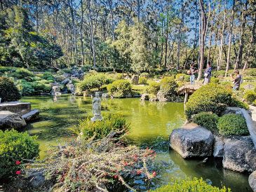 Espacio de reflexión. El Jardín Japonés transporta al visitante a un ambiente Oriental. ESPECIAL