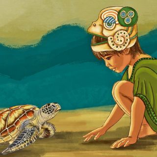 La lucha por la permanencia: tortugas marinas