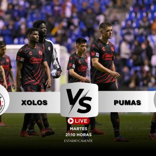 ¿Dónde ver EN VIVO el partido Xolos vs Pumas?