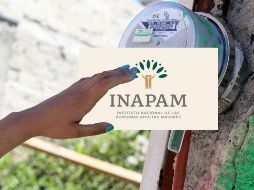 La tarjeta del Inapam se puede tramitar a partir de los 60 años. EL INFORMADOR / ARCHIVO