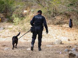 Se realizaron entrevistas en campo con un enfoque sensible y humanitario, con el fin de recabar información relevante para las labores de búsqueda. ESPECIAL