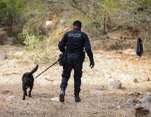 Se realizaron entrevistas en campo con un enfoque sensible y humanitario, con el fin de recabar información relevante para las labores de búsqueda. ESPECIAL