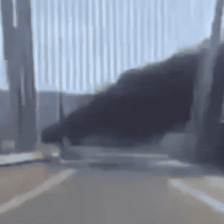 Tres muertos y cinco heridos tras el colapso de un puente en Corea del Sur (VIDEO)