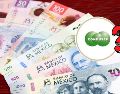 El Banco de México pone a disposición del público cursos especializados que brindan herramientas para la identificación de billetes y monedas, con el propósito de prevenir la falsificación. CONDUSEF