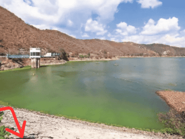 Según Patricia Labrado, Directora Técnica del Organismo de Cuenca Aguas del Valle de México, el déficit supera el 11%. SUN/ARCHIVO