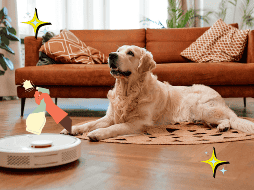 Una limpieza regular de tu hogar, con los productos adecuados, permitirá mantener el lugar en perfectas condiciones para ti y tu mascota. ESPECIAL