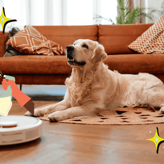 La guía definitiva para mantener limpia tu casa si tienes mascotas