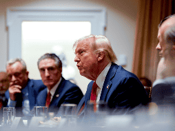 Trump está impulsando un severo recorte del gasto público de la Administración. EFE / A. DRAGO