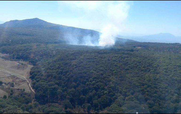 Durante 2024 se registraron 61 incendios forestales en el Bosque de la Primavera, sin embargo, de los últimos 10 años, en 2017 se documentaron más casos, 154, de acuerdo con datos del Organismo Público Descentralizado Bosque de la Primavera. ESPECIAL/X/ @PCJalisco.