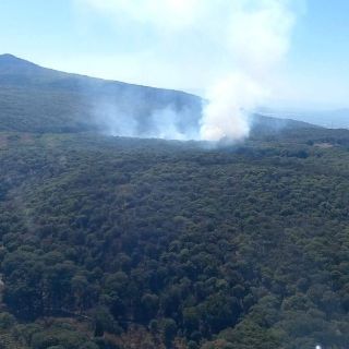 Reportan incendio forestal en el Bosque de la Primavera
